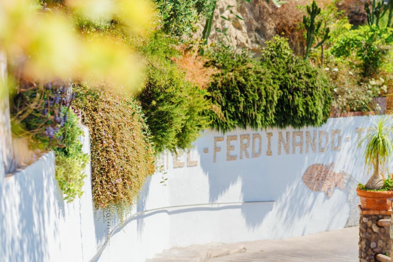 Hotel Ferdinando Beach & Thermal Spa Sant'Angelo  Εξωτερικό φωτογραφία